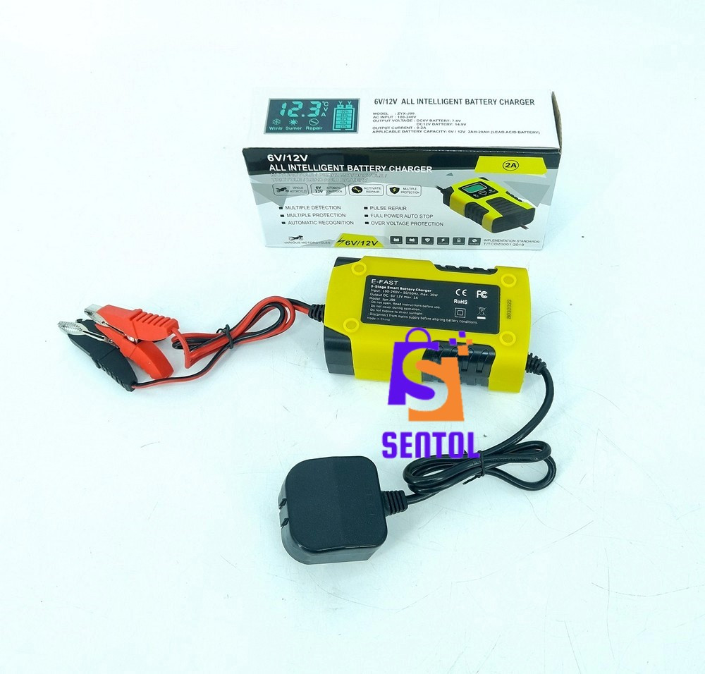 6V 12V Intelligent Battery Repair Trickle Charge