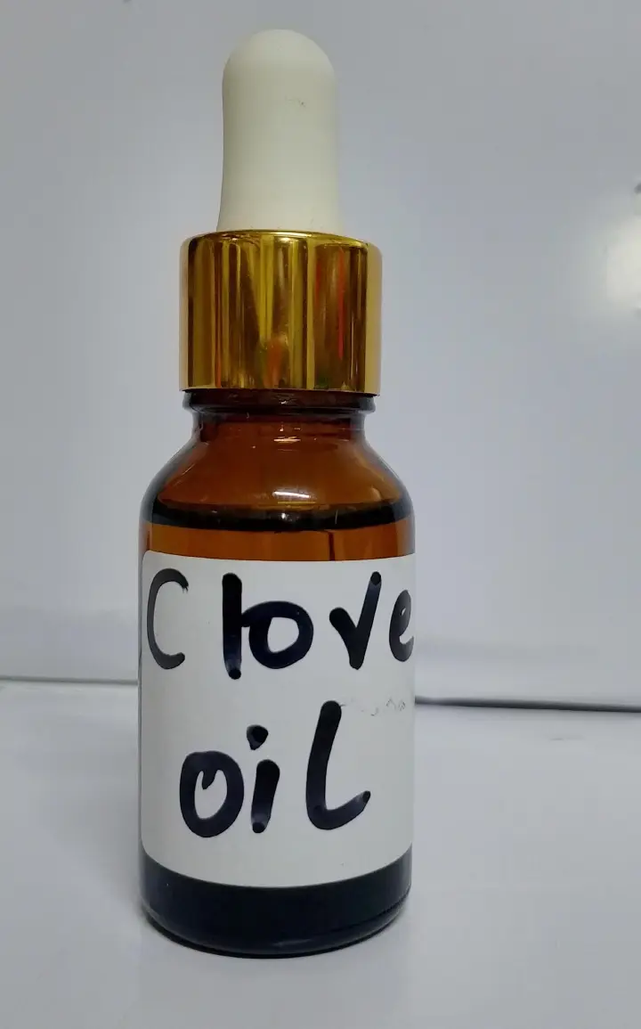Clove Essential Oil