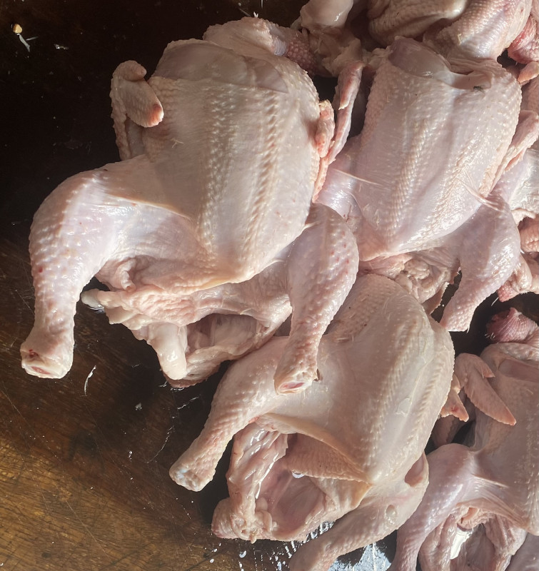 Chicken broiler