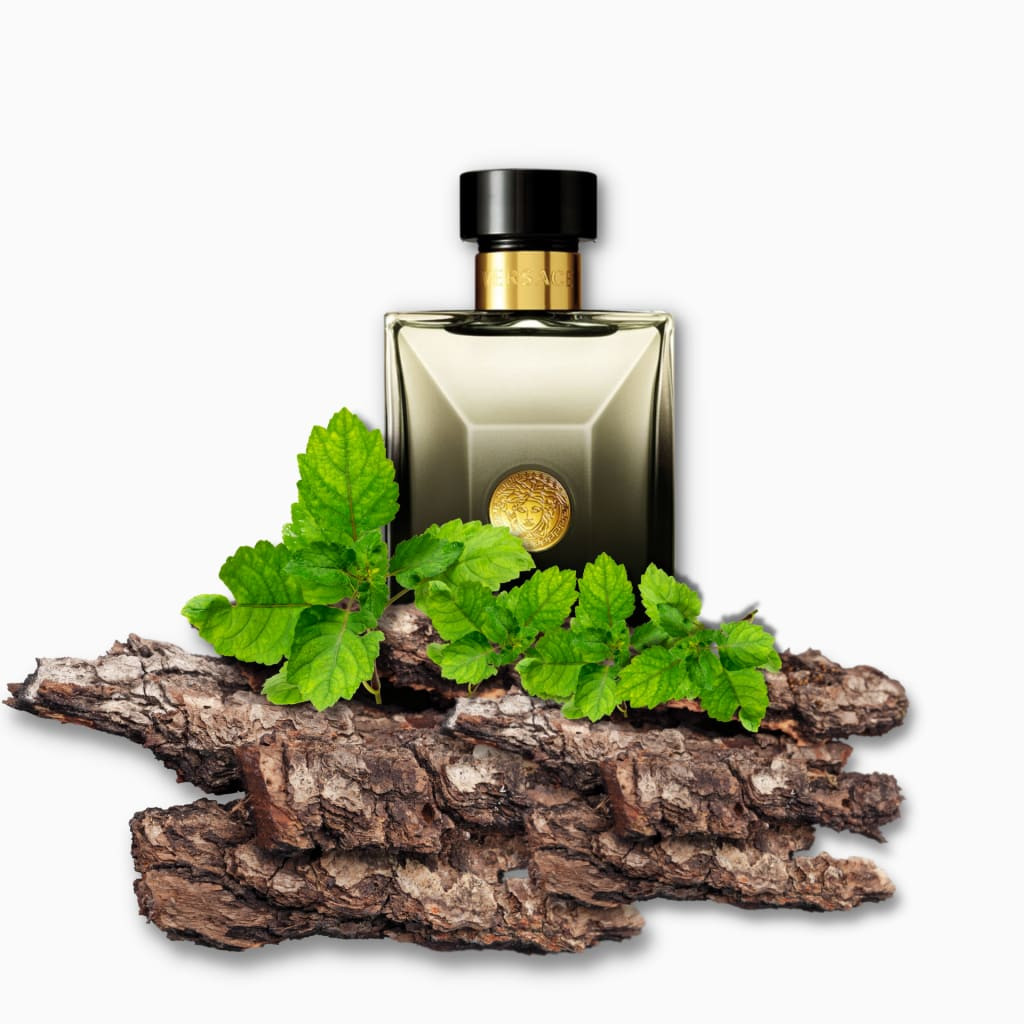 VERSACE POUR HOMME OUD NOIR EDP