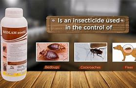 Bedlam 200SL Insecticide (1L)