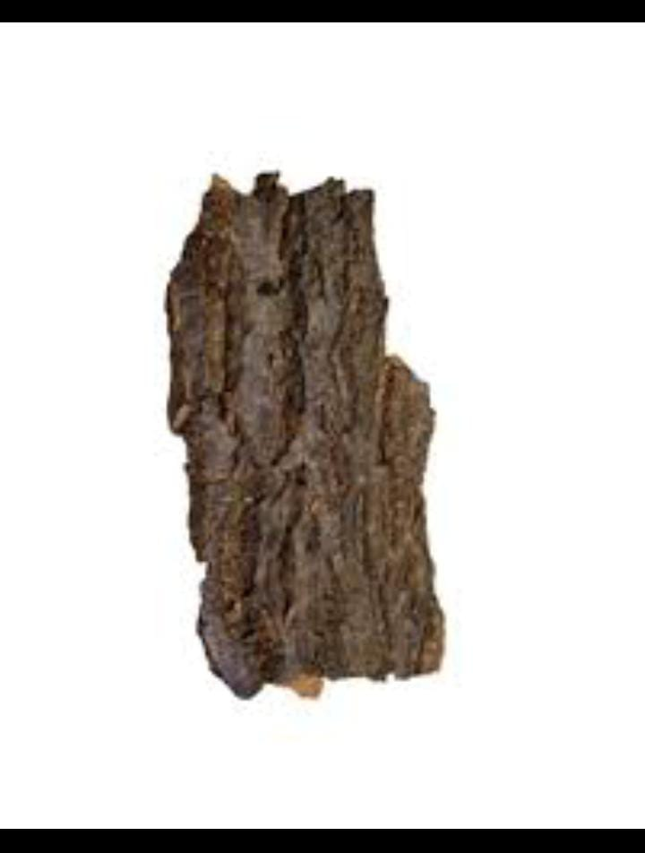 Iginla bark (anti-witchcraft)