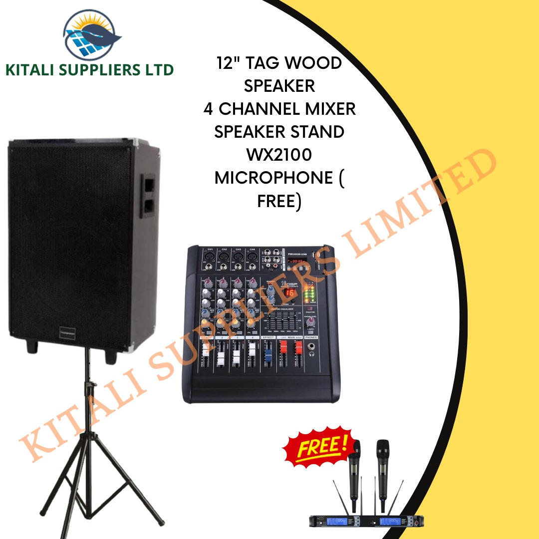 12" Tagwood speaker 4 channel mixer, speaker stand, wx2100 microphone