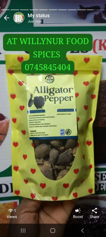 ALLIGATOR PEPPER WHOLE SEEDS (for Spiritual Protection & Warding Off Negative Energy, for Cleansing, Purification & Blessings,)