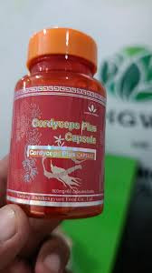 Green World Cordyceps Plus Capsule	-	500mg×60 caps
