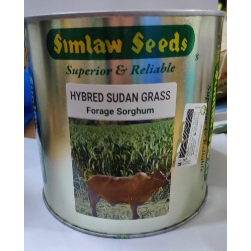 SIMLAW SEEDS Hybrid Sudan Grass Forage Sorghurm Seeds
