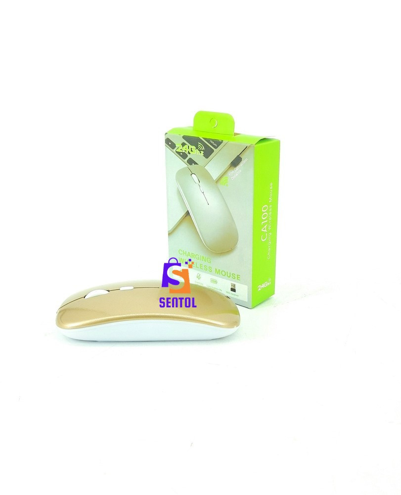CA100 Slim Ergonomic Rechargeable Bluetooth