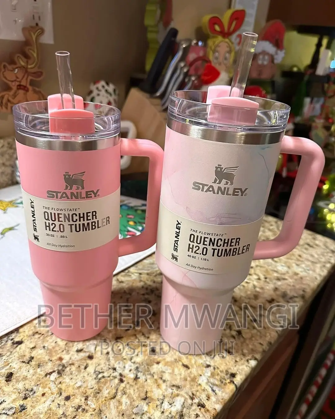 Viral Stanley Cups/Tumbler