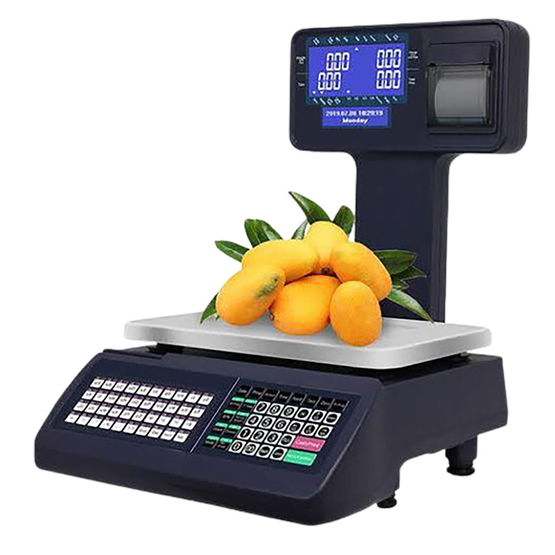 ECS Cash Register Scale