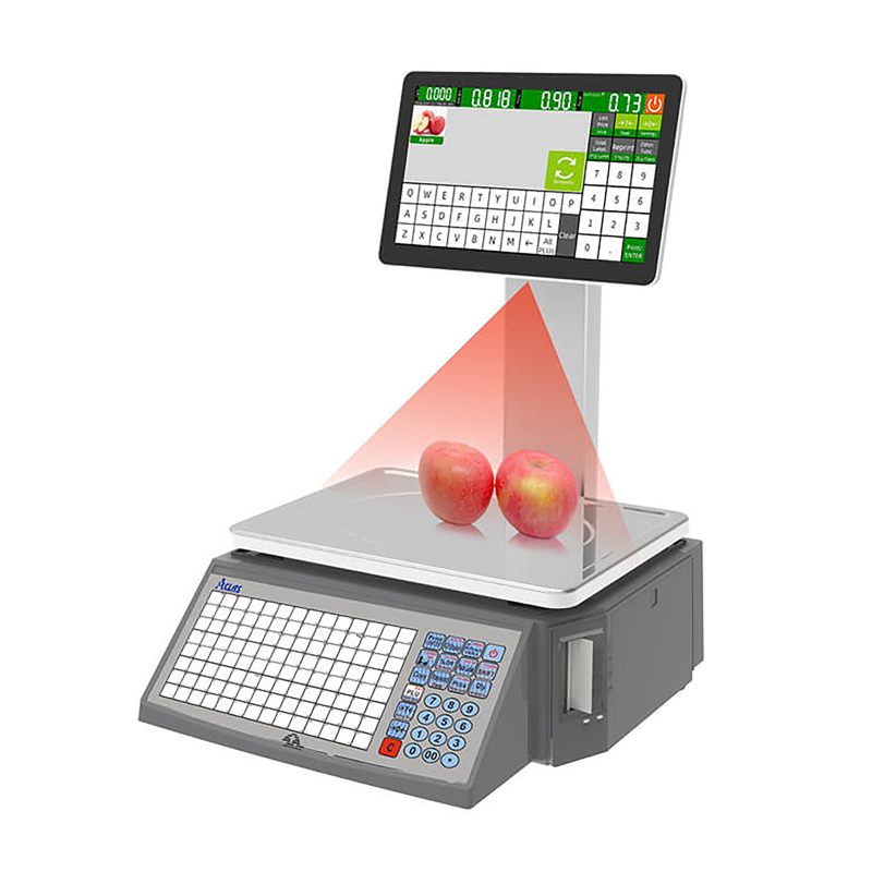 iS2X Image Recognition Scale