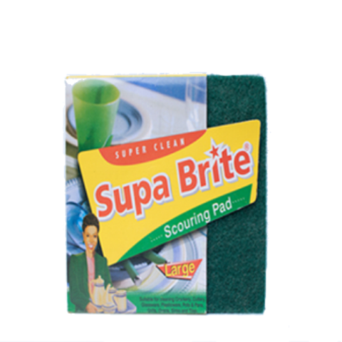 Scouring sponge